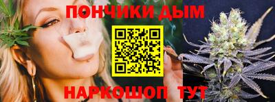 spice Дубна