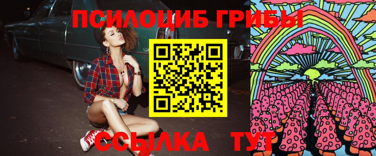Галлюциногенные грибы GOLDEN TEACHER  Вход с VPN  Междуреченск  Галлюциногенные грибы Psilocybe 